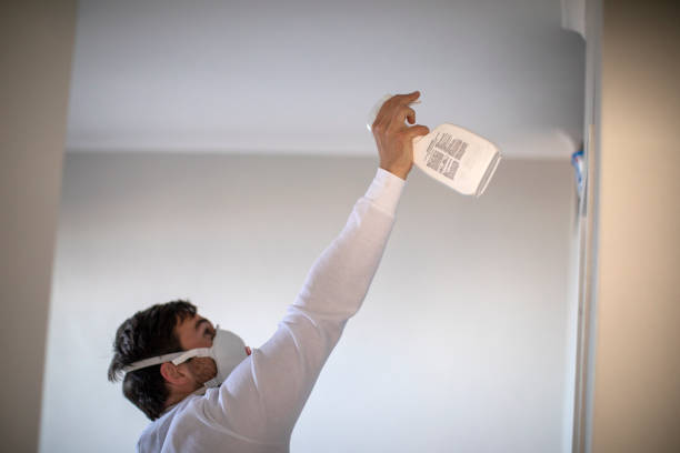Best Basement Mold Remediation in Hampton, AR